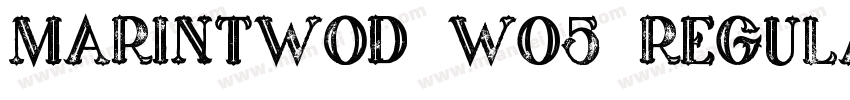 MarinTwoD W05 Regular字体转换